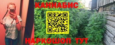 индика Чебаркуль
