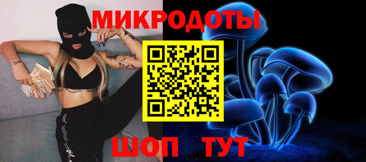 Псилоцибиновые грибы мицелий Казань